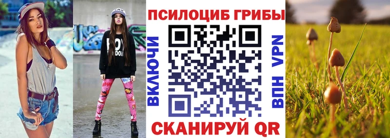 где купить наркотик  Курчалой  Псилоцибиновые грибы ЛСД 