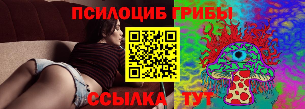 Галлюциногенные грибы Psilocybe Курчалой